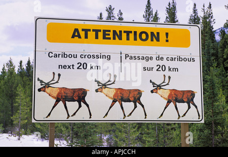 Le caribou des forêts de montagne signe d'avertissement de passage à niveau du Parc National de Jasper Alberta Canada Banque D'Images