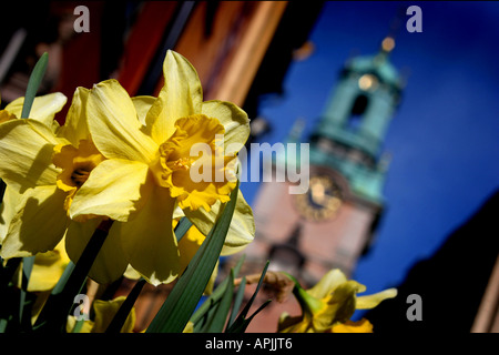 Compte tenu de l'printemps Storkyrkan à Gamla Stan Stockholm Banque D'Images