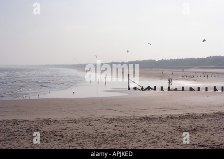 Plage de Gorleston Norfolk en Angleterre dans l'après-midi plage falaise de gorleston mouettes sur la plage Banque D'Images