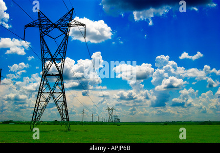 Les lignes de transmission à haute tension en Floride USA Banque D'Images