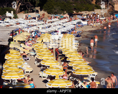 LE RAYOL CANADEL, la Côte d'Azur, France. 12 juin 5005. Soleil de l'après-midi lumineuse met en évidence sur la plage parasols multicolores pour la sécurité de sunbat Banque D'Images