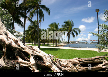 Donnant sur le Port de Miami Downtown Bayside salon Florida United States of America Banque D'Images