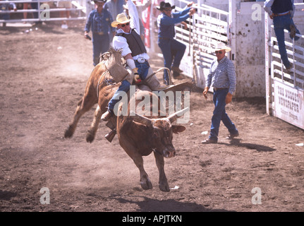 Un Rodeo Cowboy monte un taureau à la célèbre Rodeo Sœurs Sœurs dans l'Oregon Banque D'Images