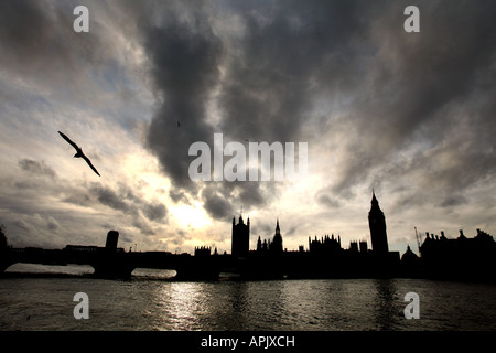 Chambres du Parlement et Big Ben au coucher du soleil sur les rives de la Tamise à Londres Banque D'Images