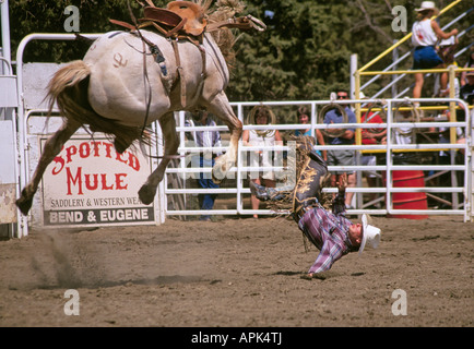 Un Rodeo Cowboy s'effectue sur une selle bronc au célèbre rodéo Sœurs Sœurs dans l'Oregon Banque D'Images