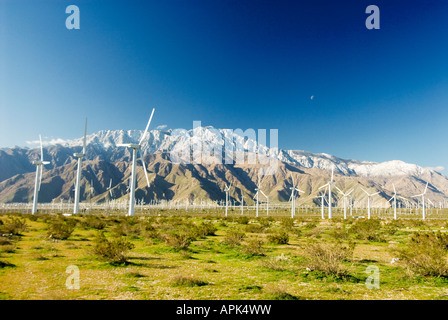 Wind turbine contre des montagnes enneigées Palm Springs Californie Banque D'Images