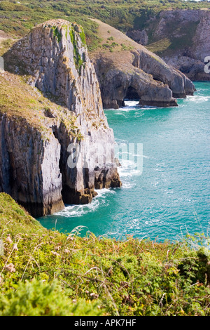 Les falaises de calcaire à Lydstep Galles Pembrokeshire Banque D'Images