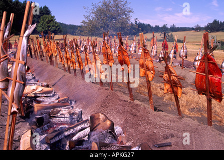 Cuire le saumon sauvage / Barbecue - cuisine de style indien traditionnel plus de bois d'aulne dans Open Fire Pit, British Columbia, Canada Banque D'Images