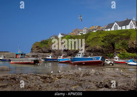 Tintagel Cornwall UK Banque D'Images