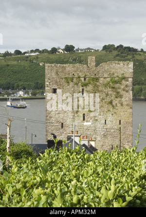 Ballyhack Castle Co Wexford Irlande www osheaphotography com Banque D'Images