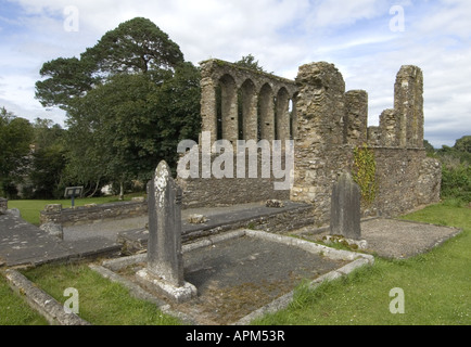 La Cathédrale de fougères Co Wexford Irlande www osheaphotography com Banque D'Images