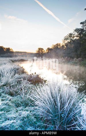 Lever du soleil sur la rivière Wey dans la prairie près de Newark Priory Pyrford Surrey England UK Banque D'Images