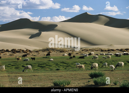 Désert de Gobi Banque D'Images