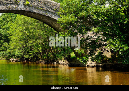 Réflexions d'été dans la rivière Swale, Ivelet bridge, Swaledale, Yorkshire, Angleterre Banque D'Images