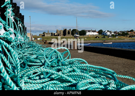 Enchevêtrement de cordes vibrantes lobster pot 'set' on jetty à Lindisfarne Banque D'Images