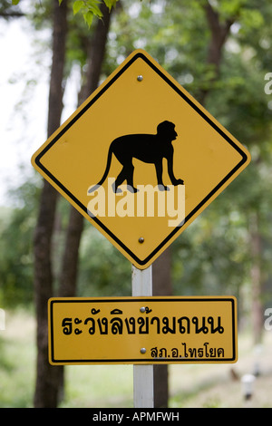 Singes sur le panneau d'avertissement de la route près de la Thaïlande Kanchanaburi Banque D'Images