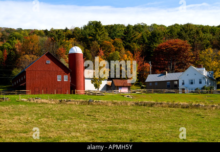 Ferme à la couleur de l'automne feuillage en Weston Florida Banque D'Images
