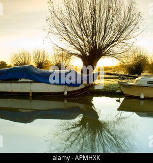 L'aube à Papercourt Lock près de Surrey England UK Envoyer Marsh Banque D'Images