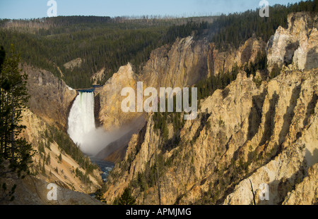 Belles chutes supérieures à distance au grand point d'artistes à l'Inspiration Point dans le Parc National de Yellowstone dans le Wyoming Banque D'Images