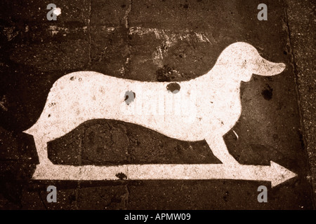 Dog sign on road Banque D'Images