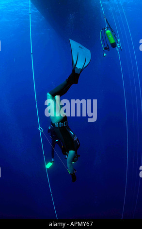 Championnats du monde DE PLONGÉE LIBRE Banque D'Images