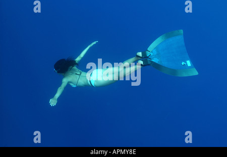 Championnats du monde DE PLONGÉE LIBRE Banque D'Images