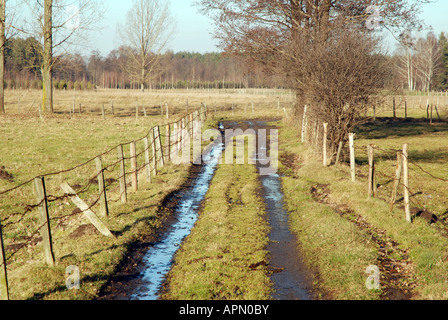 Campagne polonaise Banque D'Images