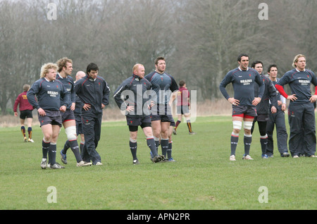 Hensol Vale of Glamorgan South Wales GB UK 2008 Banque D'Images