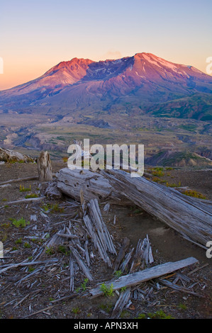 Le Mont Saint Helens au coucher du soleil de Loowit Viewpoint sur Johnston Ridge Mont St Helens Washington Monument Volcanique National Banque D'Images