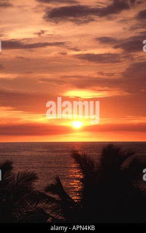 Le SRI LANKA. Coucher du soleil sur la plage de Negombo. Banque D'Images