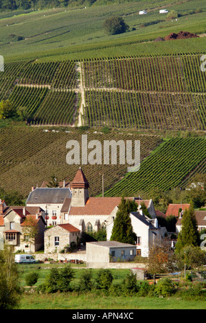 La production de Champagne Vineyards à Châtillon sur Marne, dans la vallée de la marne près de Epernay France Europe de l'UE. Village historique. Banque D'Images