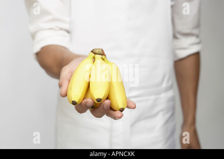 Chef holding bunch of Bananas (mid section) Banque D'Images