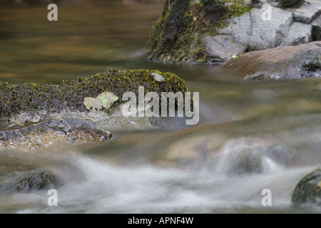 L'Aira Beck, Parc National de Lake District, Cumbria, Angleterre Banque D'Images