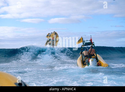 CAMEL TROPHY COURSE SUR LES SAMOA LES TONGA Banque D'Images