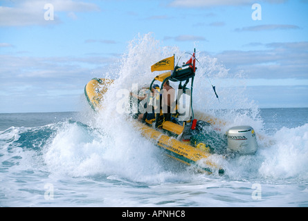 CAMEL TROPHY COURSE SUR LES SAMOA LES TONGA Banque D'Images