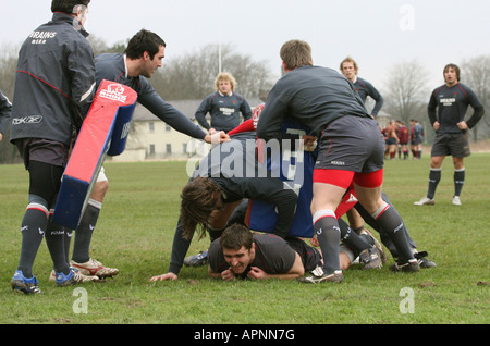 Hensol Vale of Glamorgan South Wales GB UK 2008 Banque D'Images