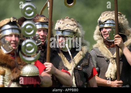 Roman étendard portant l'insigne de leur bureau l'bearskin Banque D'Images