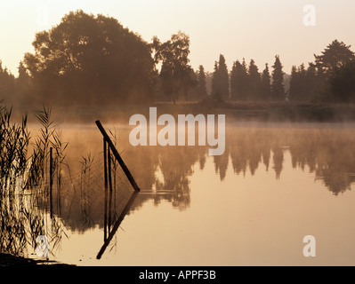 Lac de Frensham Little Pond à l'aube avec brume s'élevant de l'eau encore en lumière tôt le matin en été. Frensham Farnham Surrey Angleterre Royaume-Uni Grande-Bretagne Banque D'Images