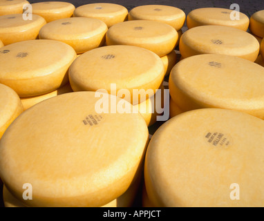 [Gouda] Alkmaar Pays-bas Hollande Banque D'Images