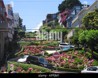 Courbes serrées de Lombard Street San Francisco California USA Banque D'Images