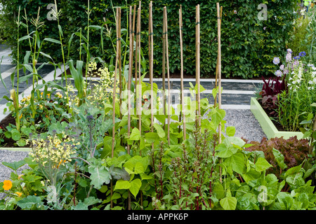 Lits de légumes relevée dans la zone de gravier contemporain avec des poteaux, et Derrière de couverture Banque D'Images