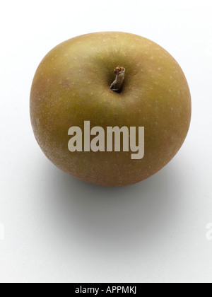 Un Egremont Russet pomme sur un fond blanc editorial food Banque D'Images