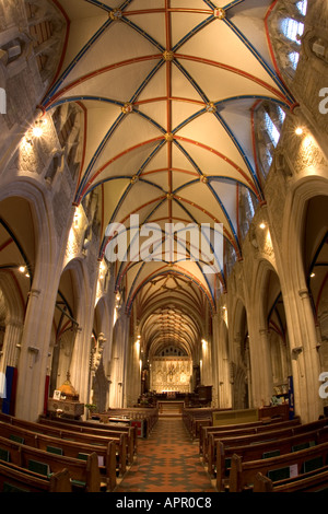 Église Honiton montrant la conception des toitures. Banque D'Images