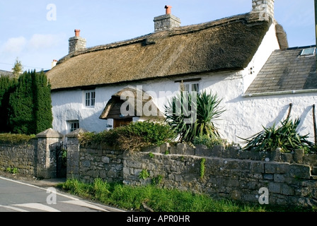 Tor Hesg chaume, long house llantwit major Vale of Glamorgan, Pays de Galles, Royaume-Uni. Banque D'Images