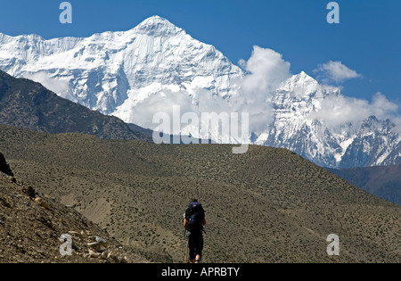 Nord Nilgiri (7061m). Circuit de l'Annapurna trek. Près de Kagbeni village. Mustang. Le Népal Banque D'Images