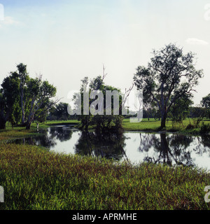 L'eau jaune Billabong dans le Kakadu National Park Australie Territoire du Nord Banque D'Images