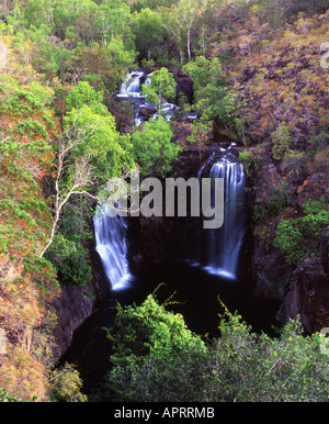 Florence Falls dans la région de Litchfield National Park Australie Territoire du Nord Banque D'Images