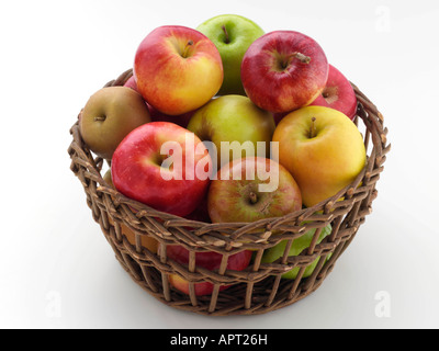 Egremont Russet Pink Lady Cox s Orange Pippin Tentation Ambrosia Golden Delicious Royal Gala Fuji pommes Granny Smith Banque D'Images