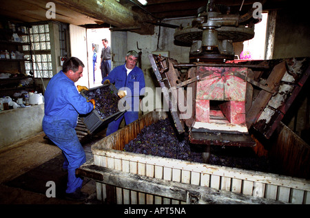 France Vin Champagne Vintage Récolte Agriculture viticulteur raisin pressoir appuyant sur Banque D'Images