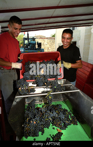 France Bordeaux Wine Vintage Chateau Cave Medoc vin Production fût embouteilleur Banque D'Images